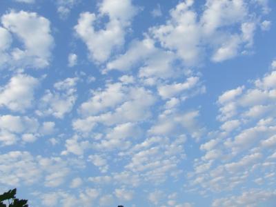 Прикрепленное изображение: 04a.jpg